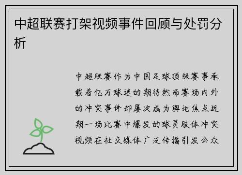 中超联赛打架视频事件回顾与处罚分析